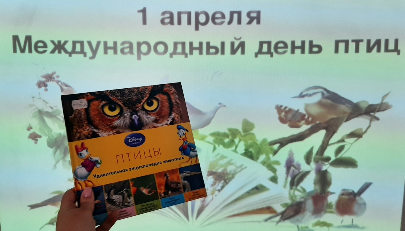 Экологическая беседа  «Крылатые соседи, пернатые друзья»   